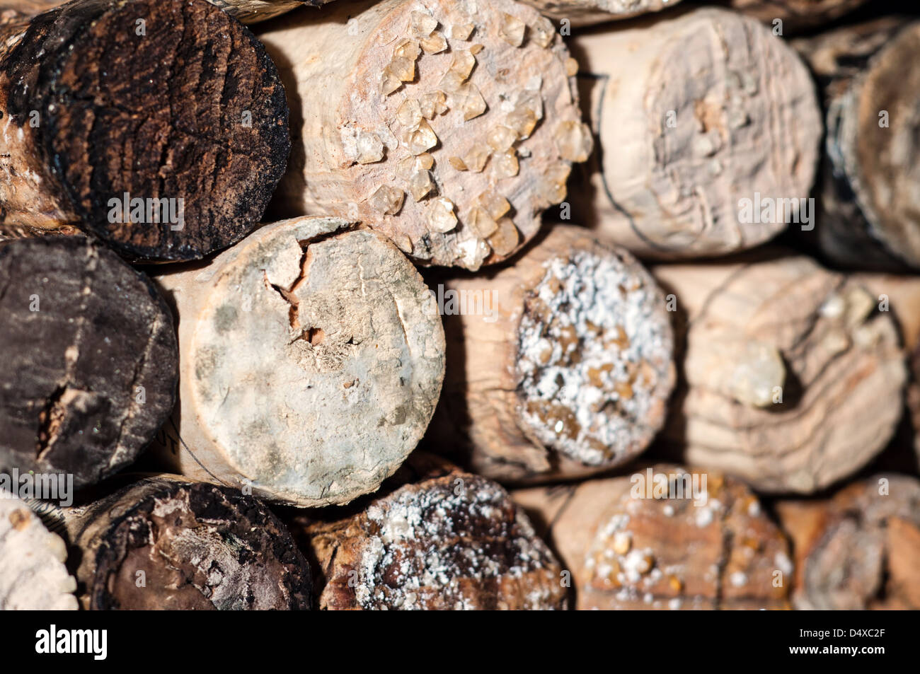 Wine Acid Falls Out in Old Bottles and Turns Into Crystals on the Corks and in the Wine Stock