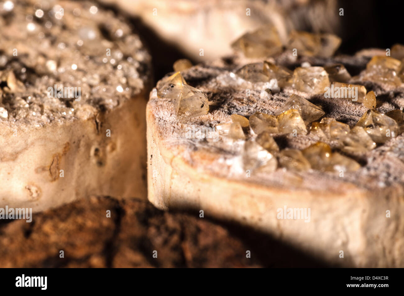 Tartaric acid crystal hires stock photography and images Alamy