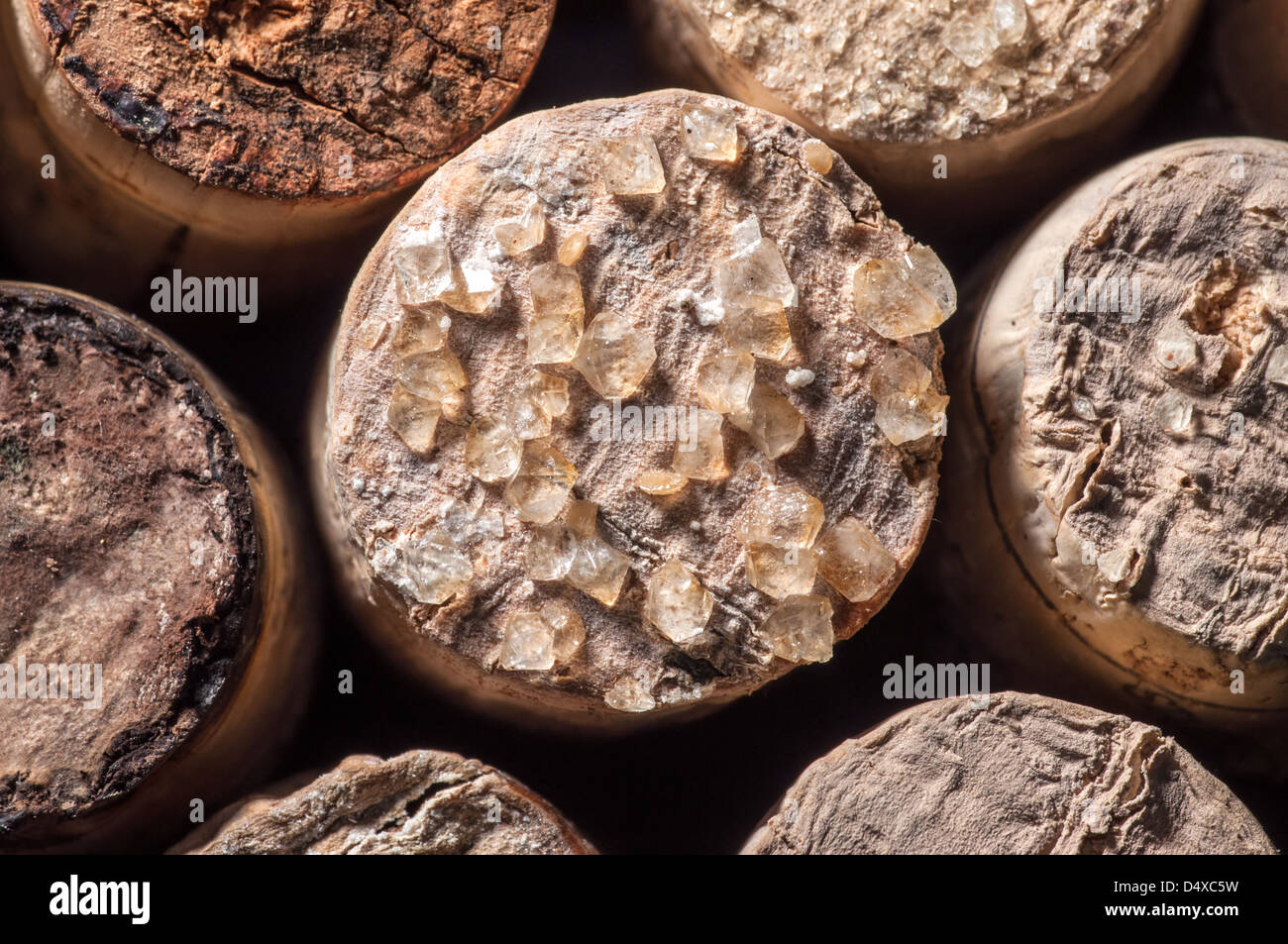 Crystal of tartaric acid hires stock photography and images Alamy