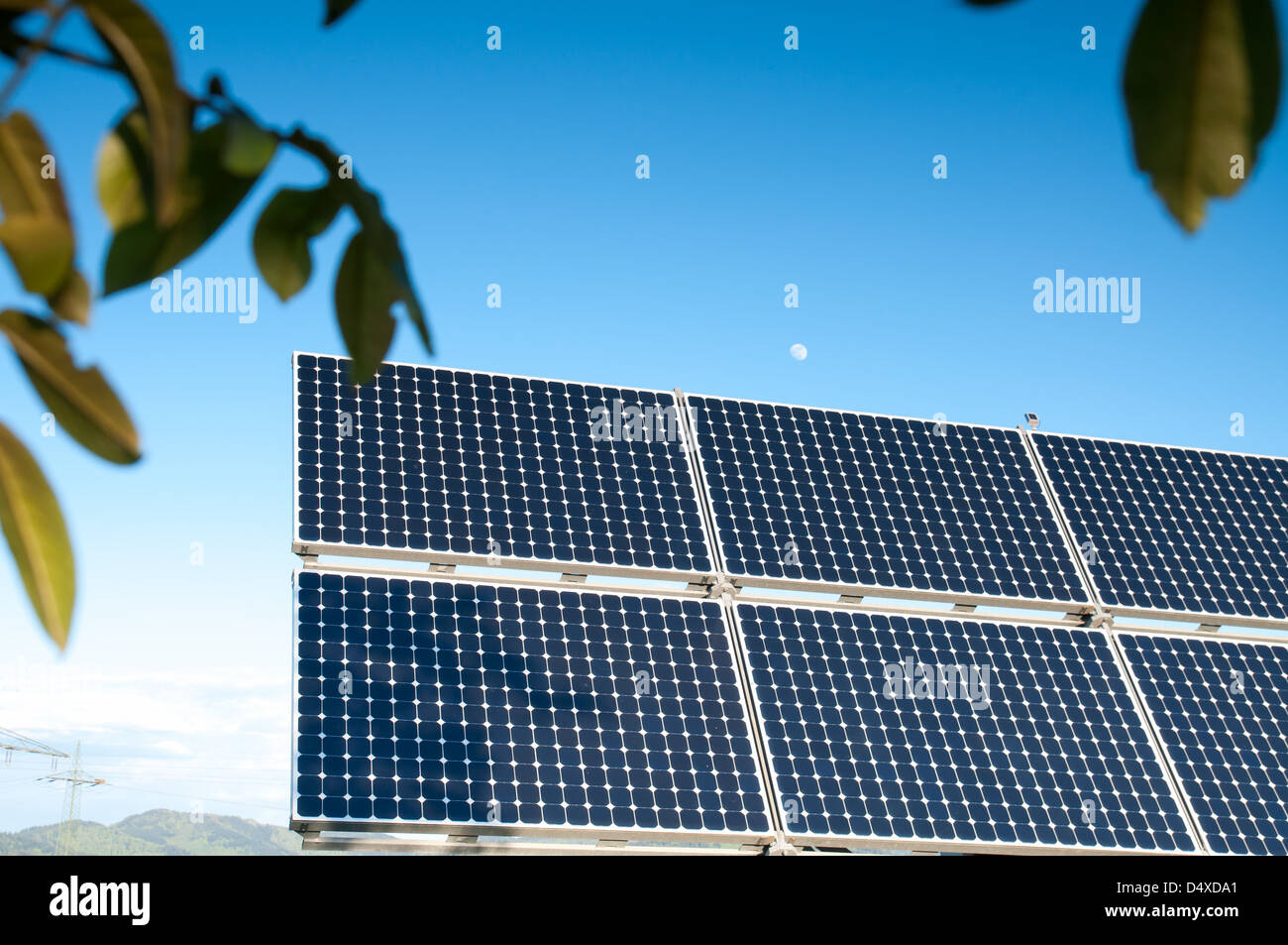 Solar Panel with Green Leaves Against Blue Sky Stock Photo