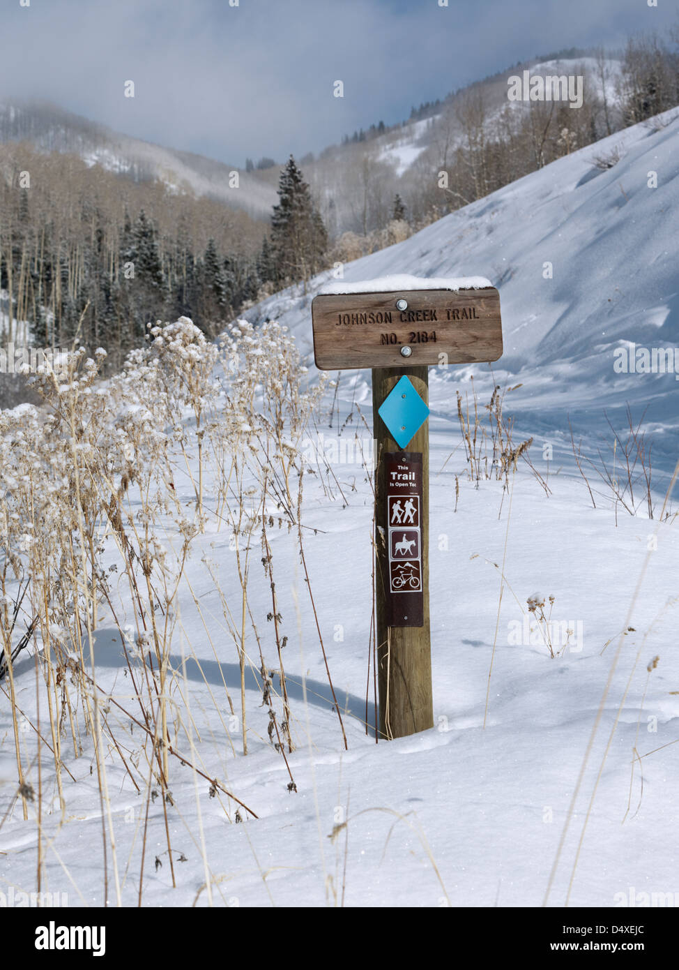 Johnson creek trail to margys hut hires stock photography and images