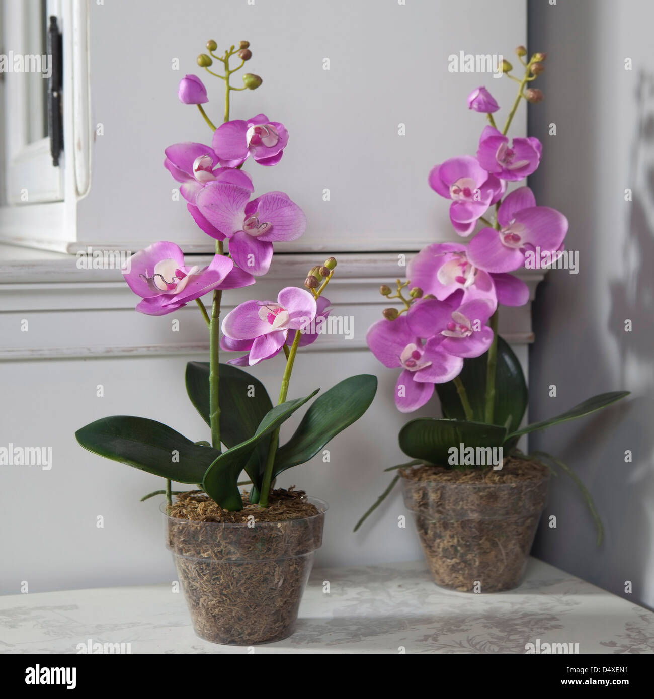 Potted pink artificial orchid on black table top in front of cupboard Stock Photo