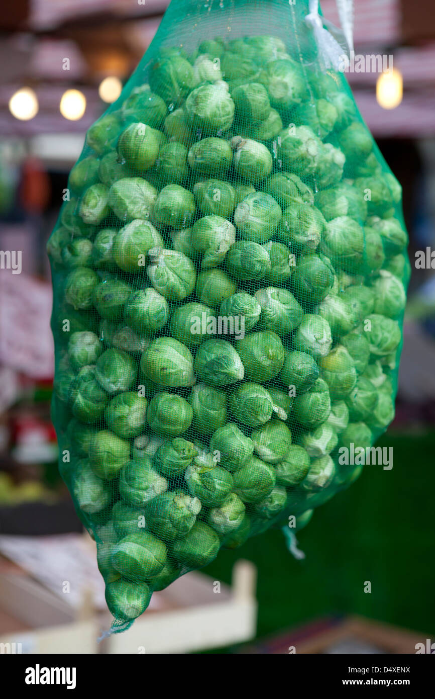Brussels sprouts in the net Stock Photo