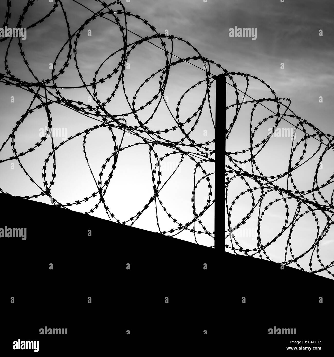 Barbed wire on dark fence. Monochrome shilouette photo Stock Photo