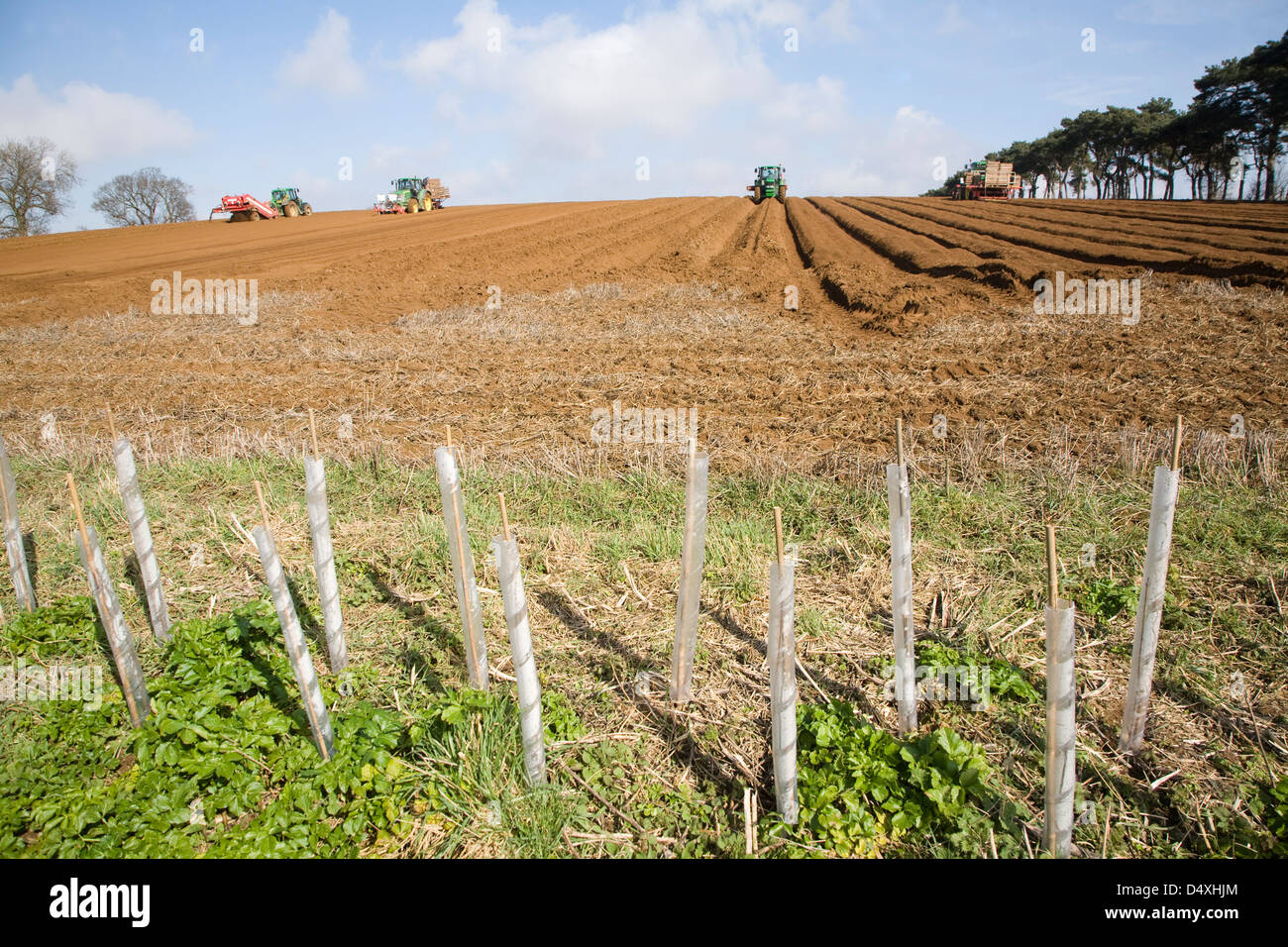 Farm machinery preparing and planting a crop of potatoes in a field, Shottisham, Suffolk, England Stock Photo