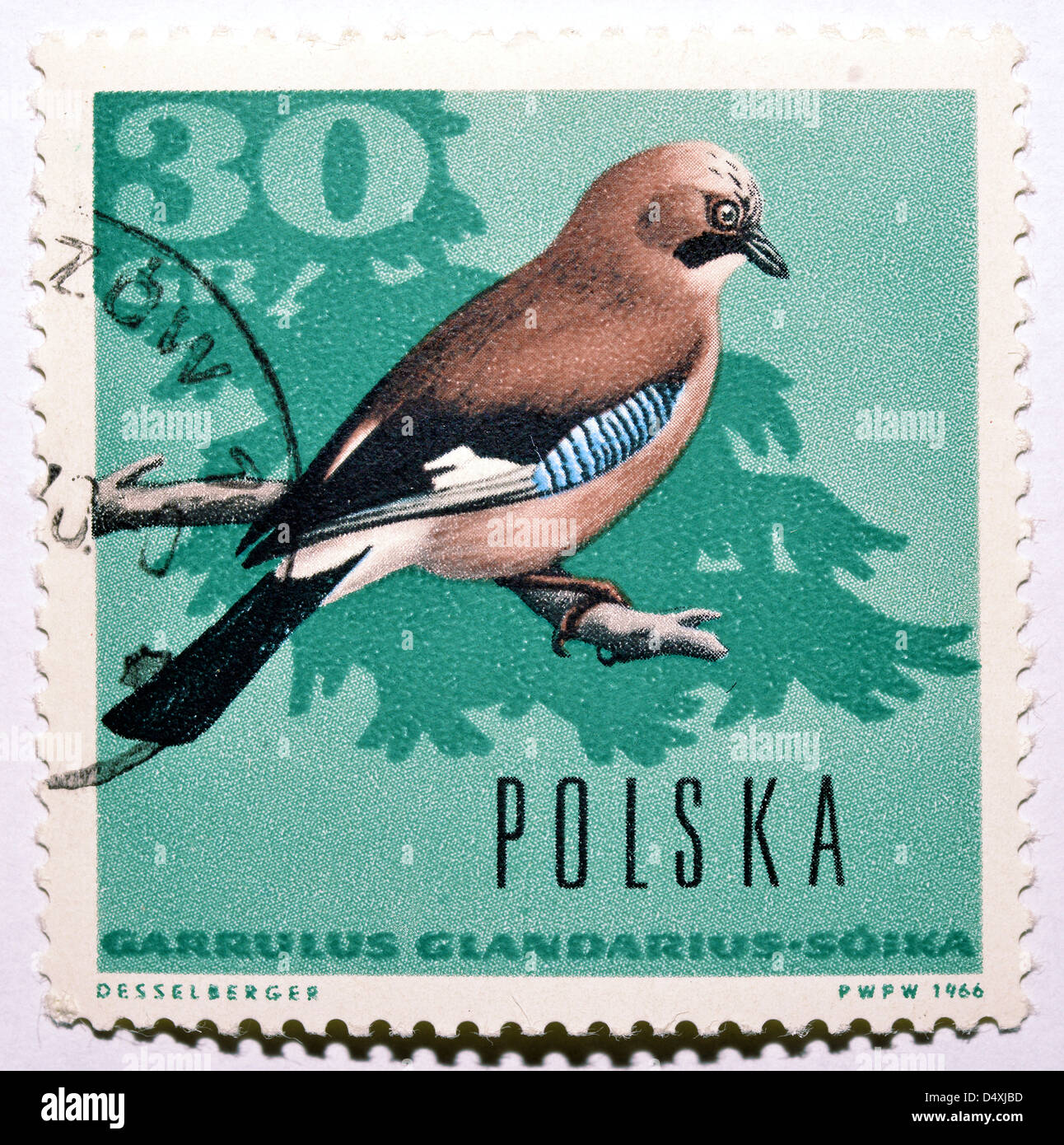 Polish postage stamp with Eurasian Jay (Garrulus glandarius) Stock Photo