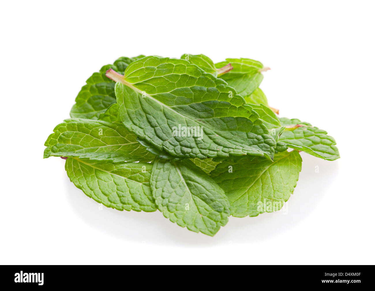 Mint herb leaf heap isolated on white Stock Photo