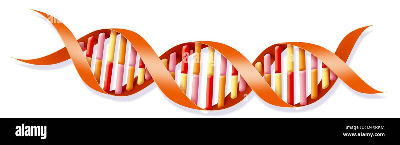 GENETICS, DNA Stock Photo