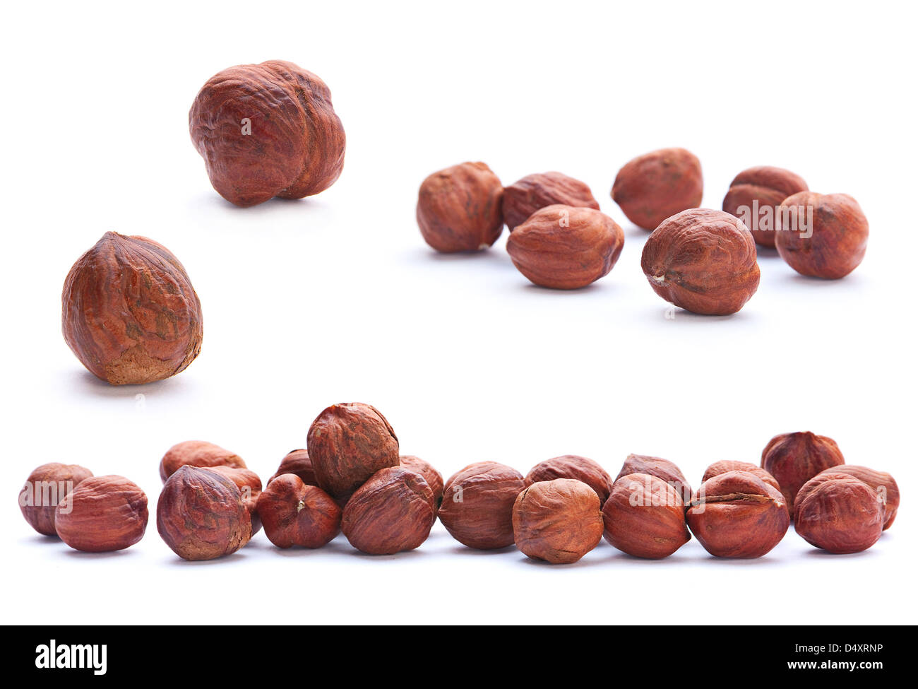 Hazelnut nut closeup isolated on white Stock Photo