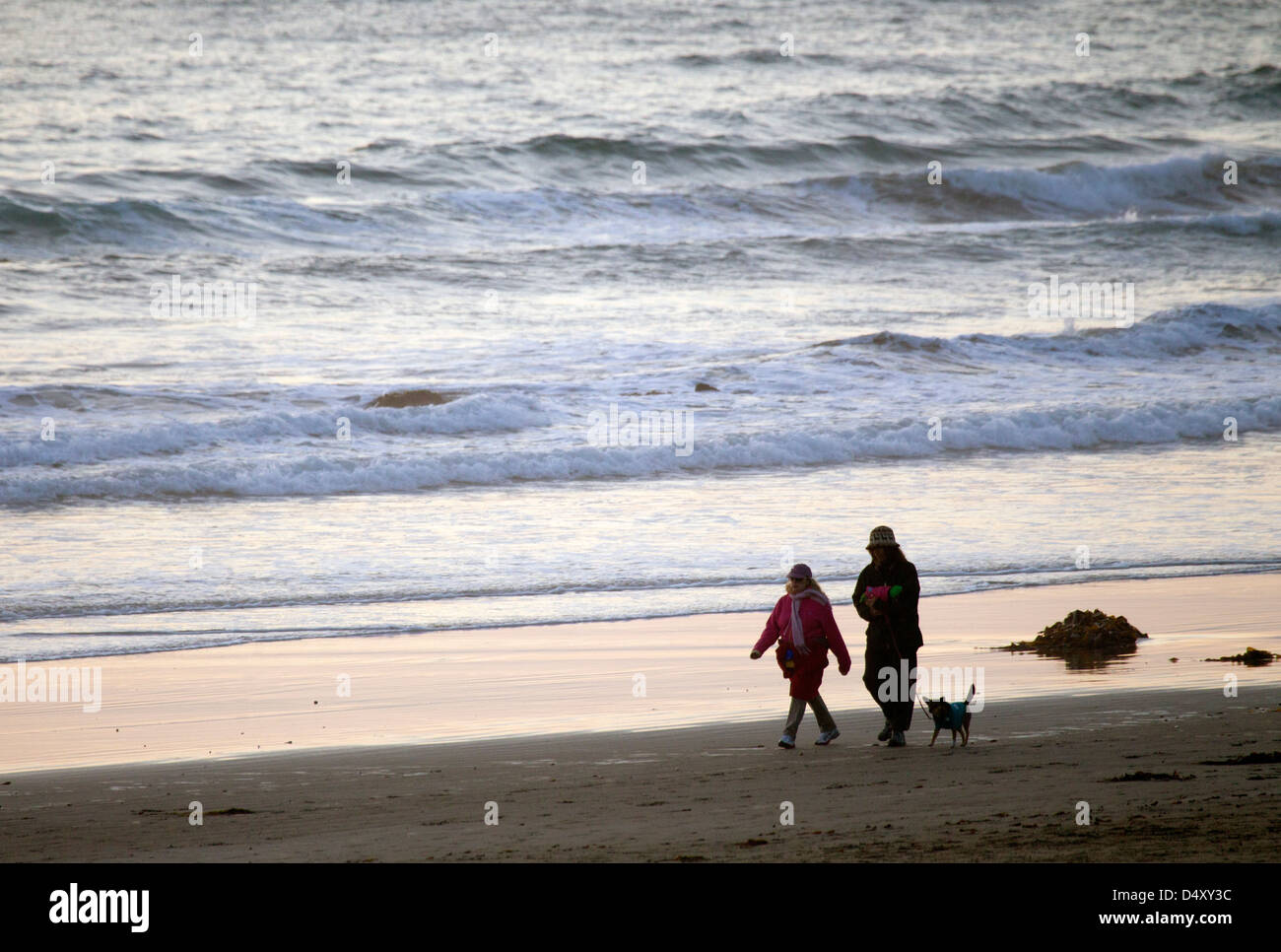 Man Woman and Dog Walking on Seashore Stock Photo