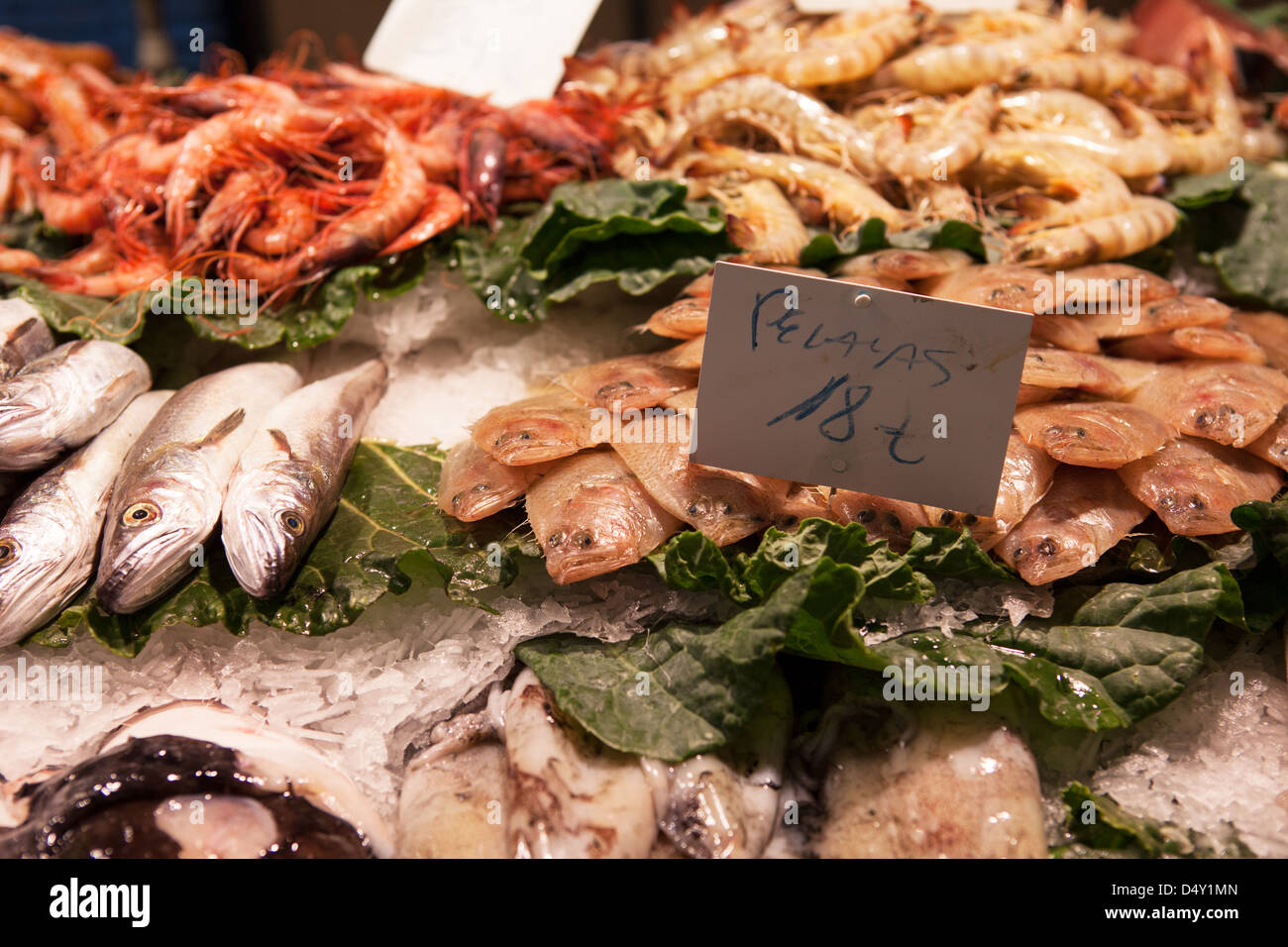 Suburban seafood 2024