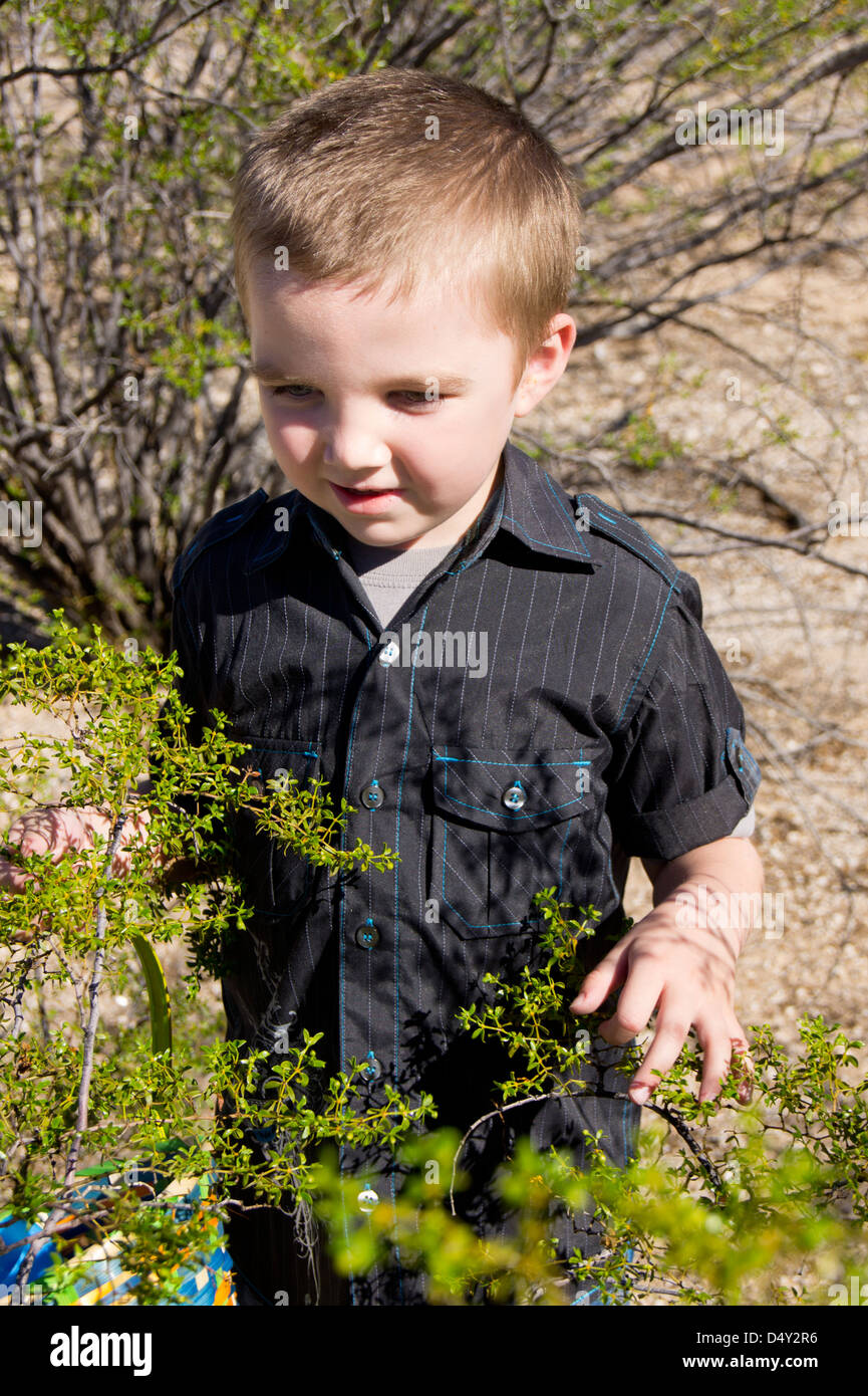 A five year old autistic boy gently touches the branches of the desert