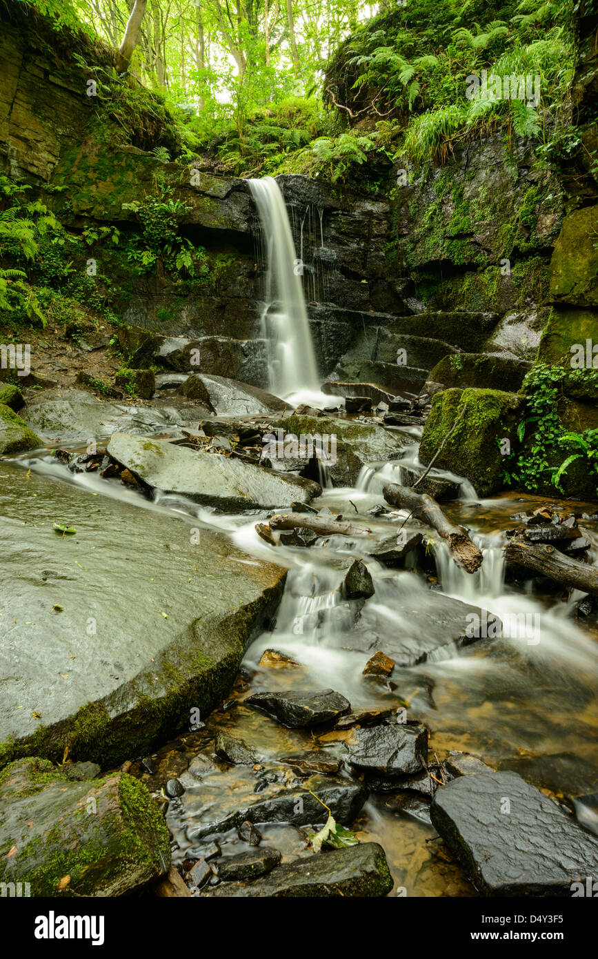 Waterfall in Fairy Glen between Parbold and Appley Bridge Lancashire England Stock Photo