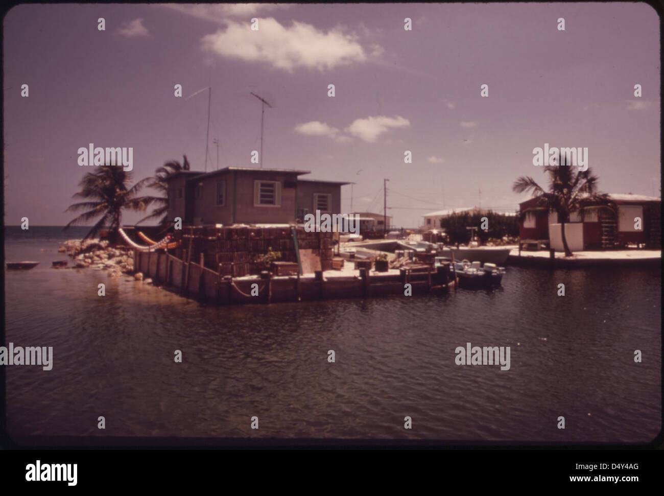 A photograph showing the cove at Conch Key, a small island in the Lower ...