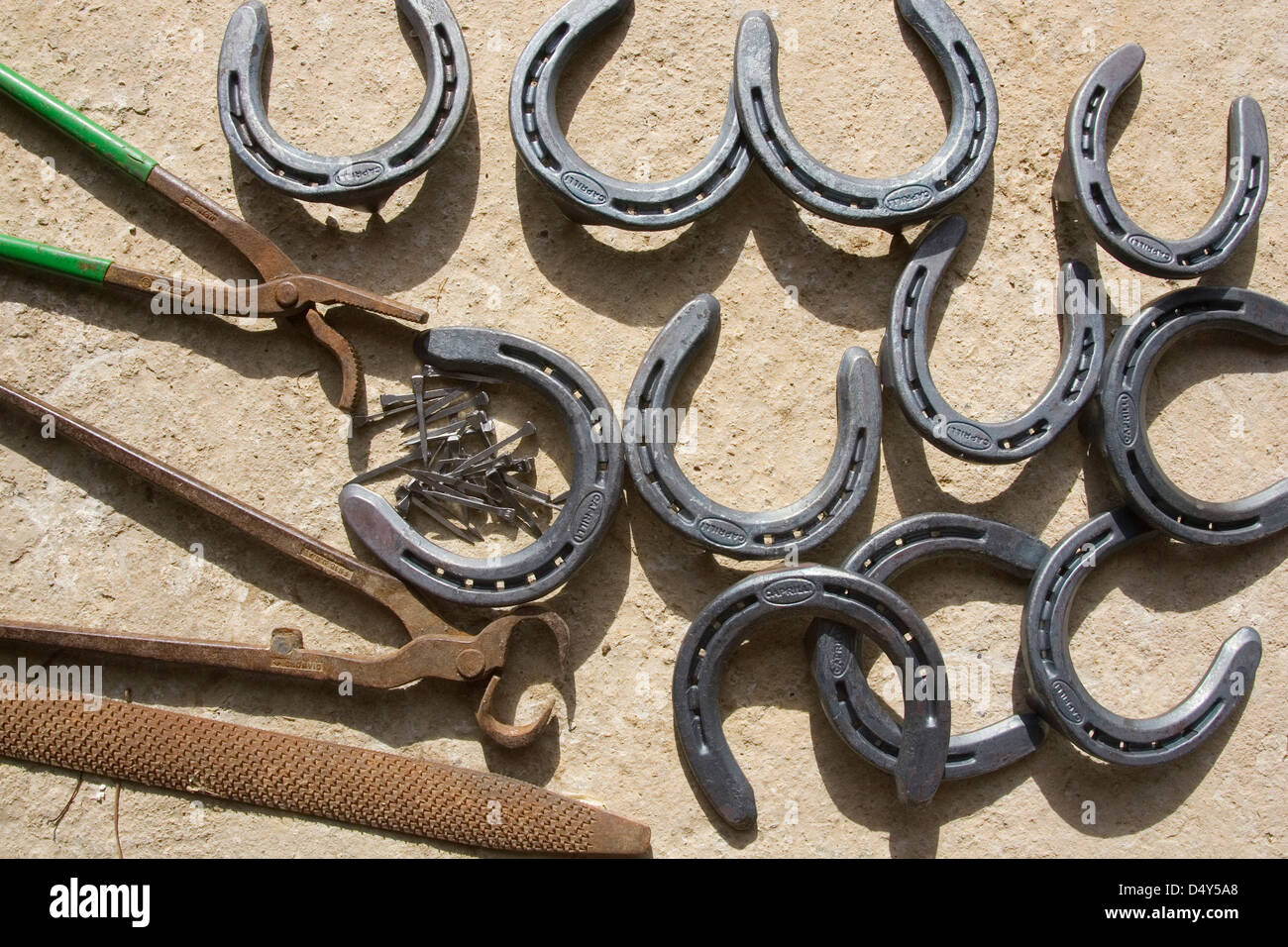 europe, italy, tuscany, garfagnana, fabbriche di vallico area, ranch la fornace, horse-shoes Stock Photo