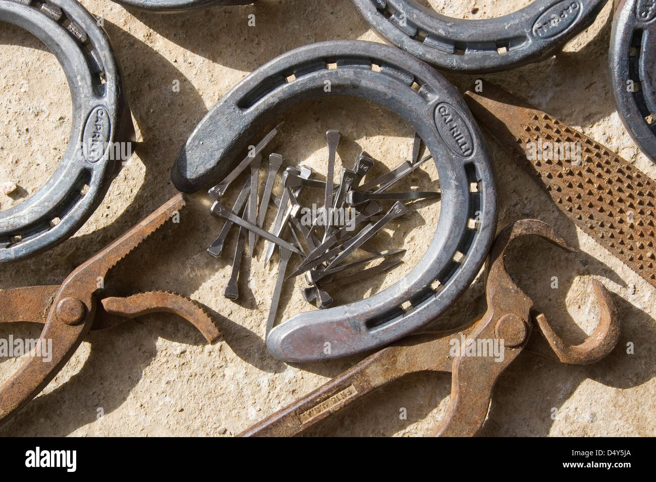 europe, italy, tuscany, garfagnana, fabbriche di vallico area, ranch la fornace, horse-shoes Stock Photo