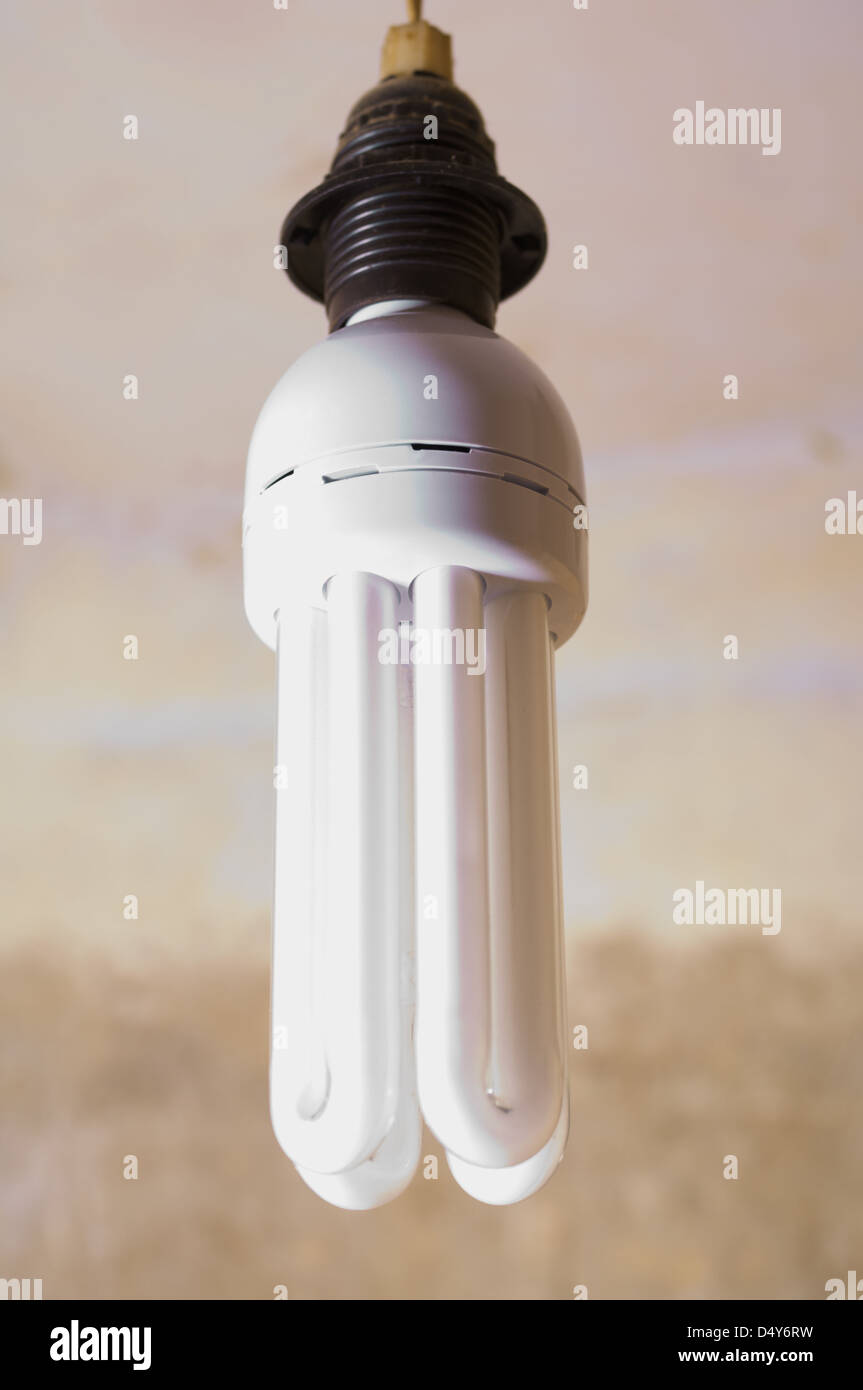 energy saving light bulb at blur background Stock Photo - Alamy