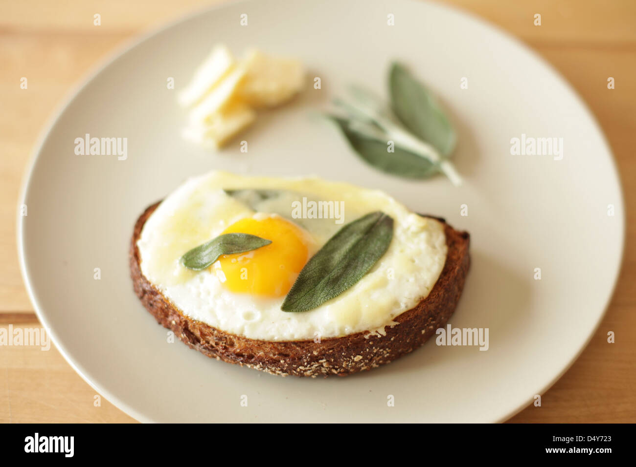 Fried egg, sage and cheese over toast Stock Photo Alamy