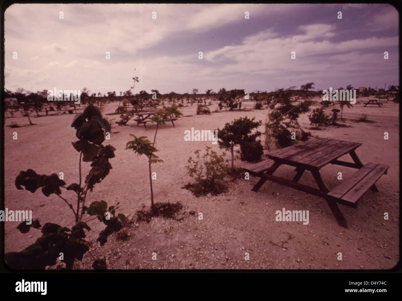 Photograph of a campsite at Ohio Key (Sunshine Key), showing the impact ...