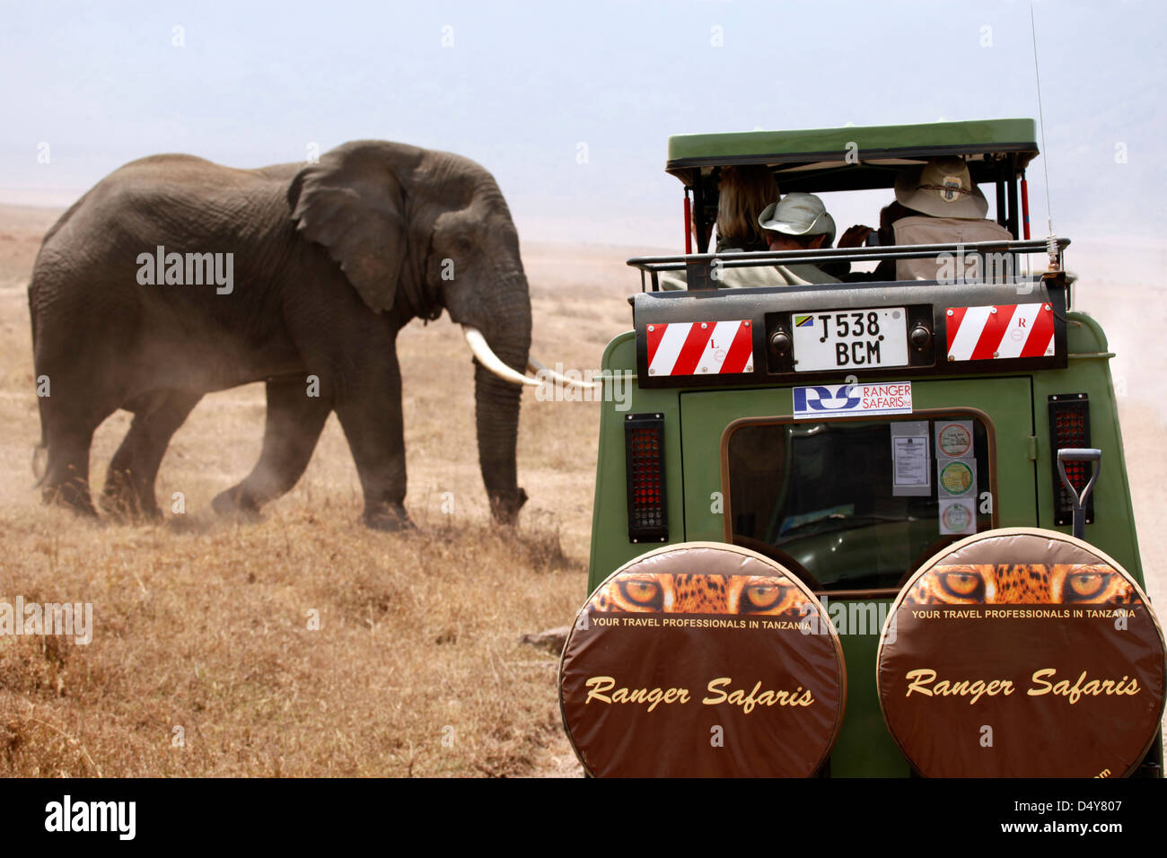 Tanzania, Serengeti. Elephant and safari jeep. Stock Photo