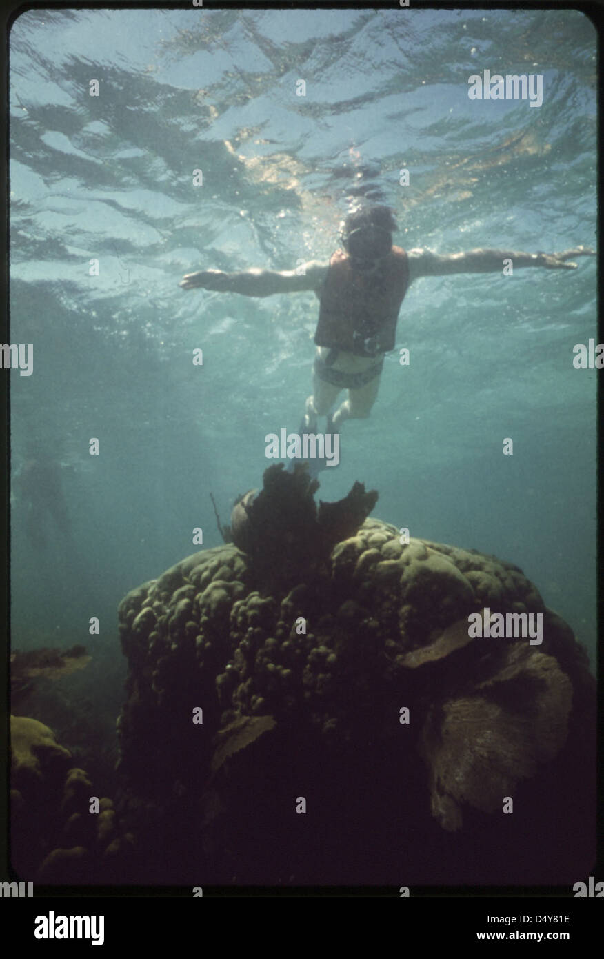 Arcid 548683 pennekampstatepark snorkeling usnationalarchives hires