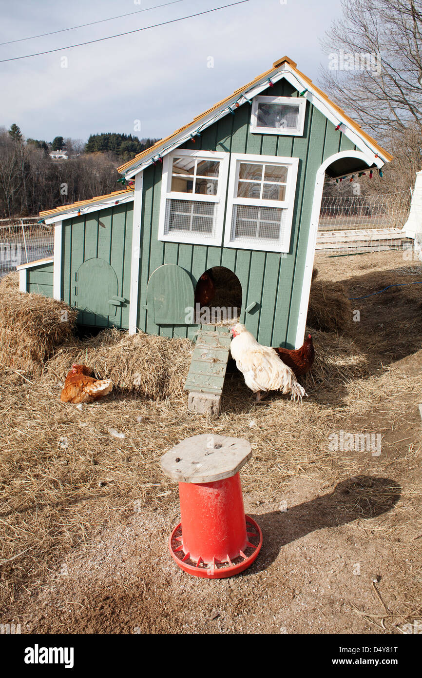 Vermont CSA farm yard with chickens in the early spring with movable chicken house. Stock Photo