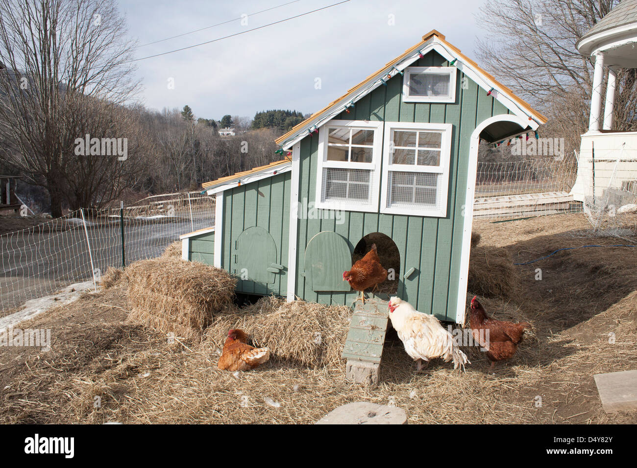 Vermont CSA farm yard with chickens in the early spring with movable chicken house. Stock Photo