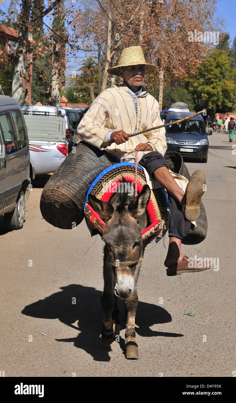 Farmer And His Donkey Stock Photos & Farmer And His Donkey Stock Images