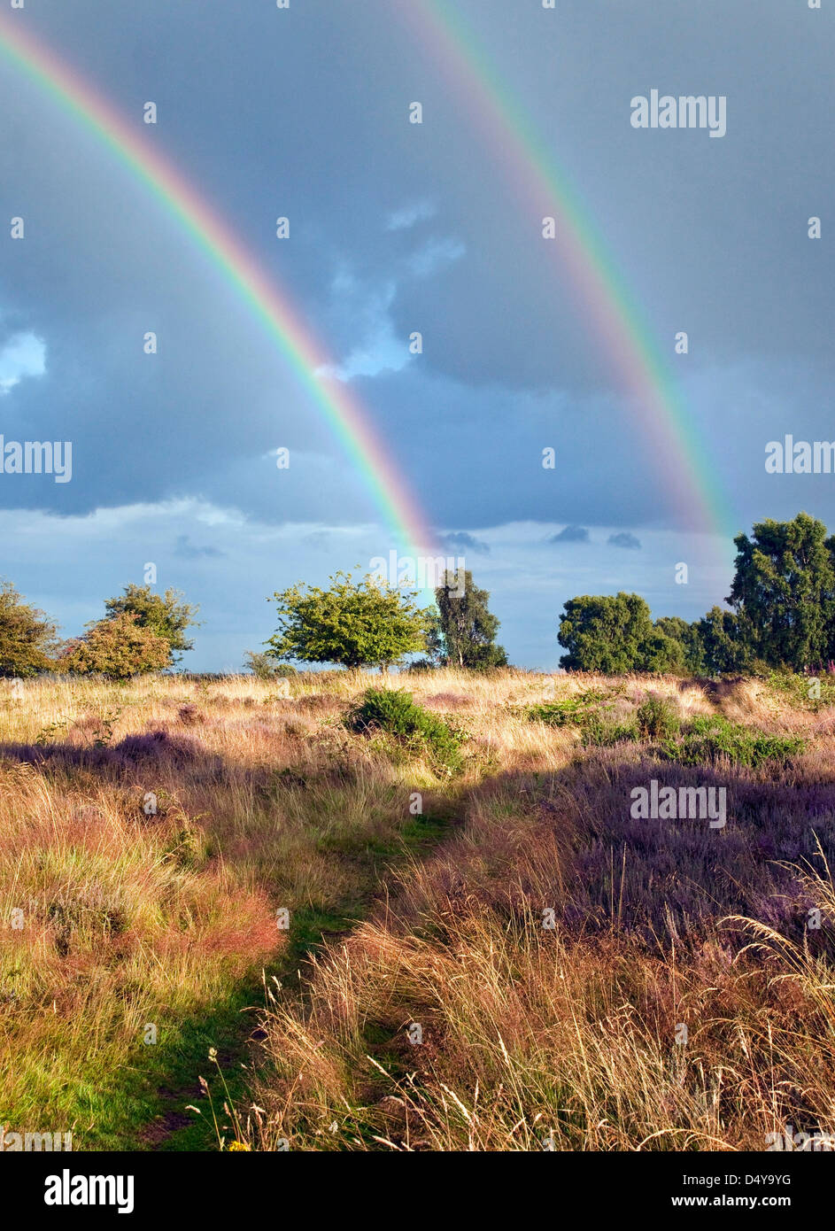 Rainbows across Grassland of Brocton Field on Cannock Chase Country Park AONB (area of outstanding natural beauty) in Stafford Stock Photo