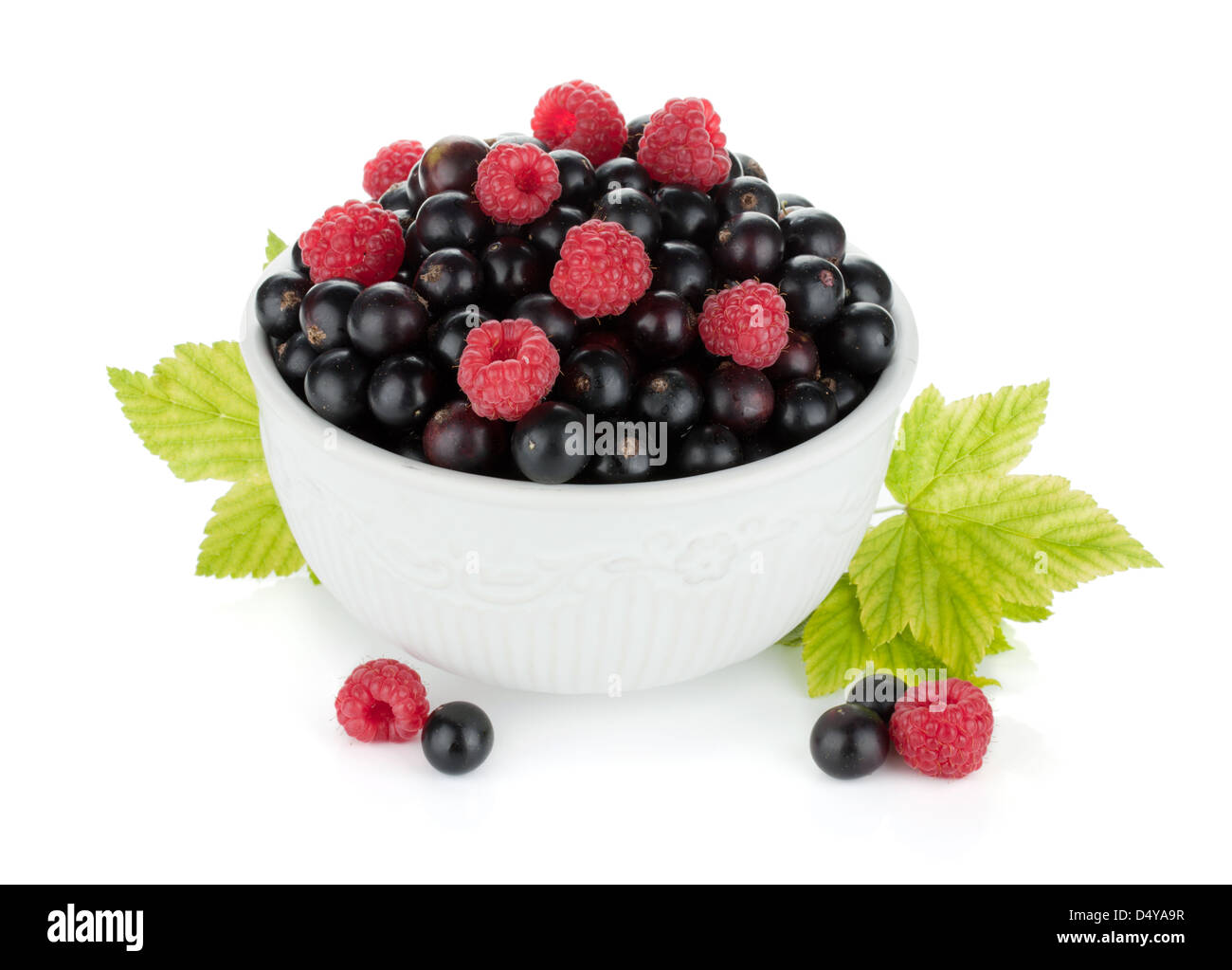 Black currant and raspberry in bowl. Isolated on white background Stock ...
