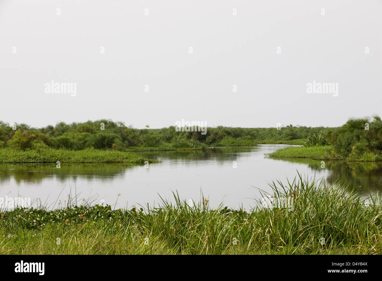 Lake albert hires stock photography and images Alamy