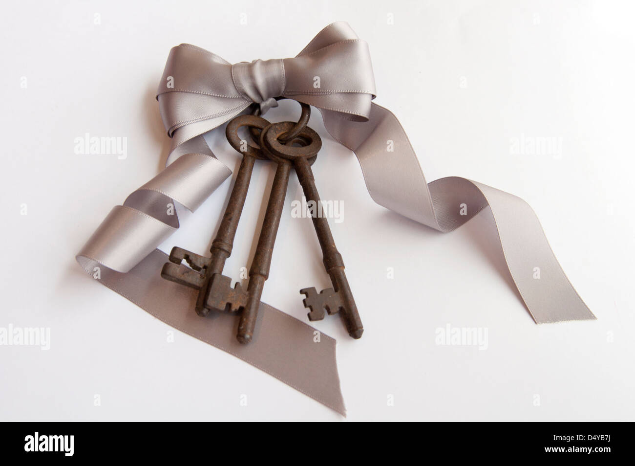 Congratulations ribbon High Resolution Stock Photography and Images - Alamy