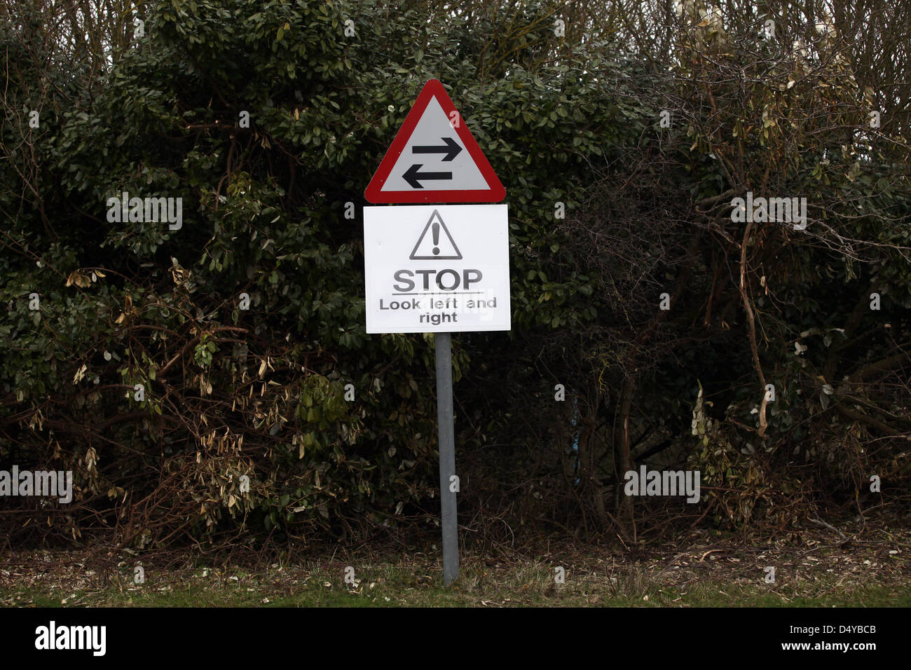 Road sign warning of two way traffic ahead, telling drivers to stop, look left and right. March 2013 Stock Photo