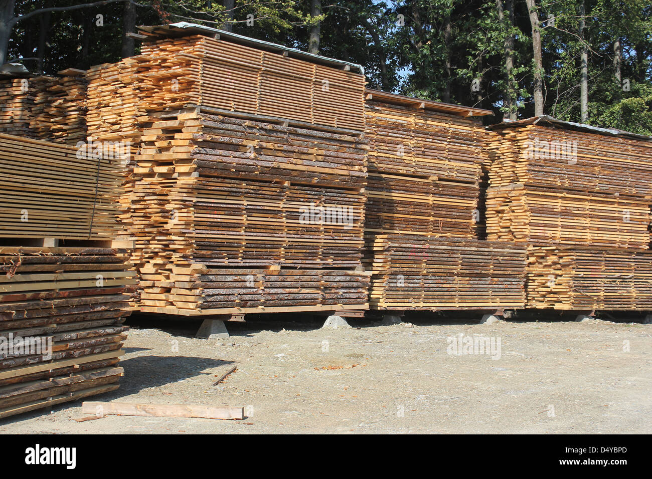 Orderly stacks of drying timber planks - wood industry Stock Photo