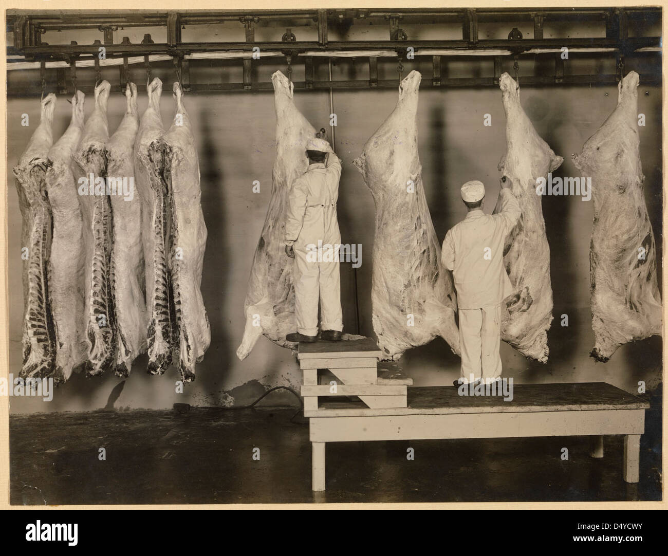 In 1910, carcasses were inspected at a meatpacking facility as part of ...