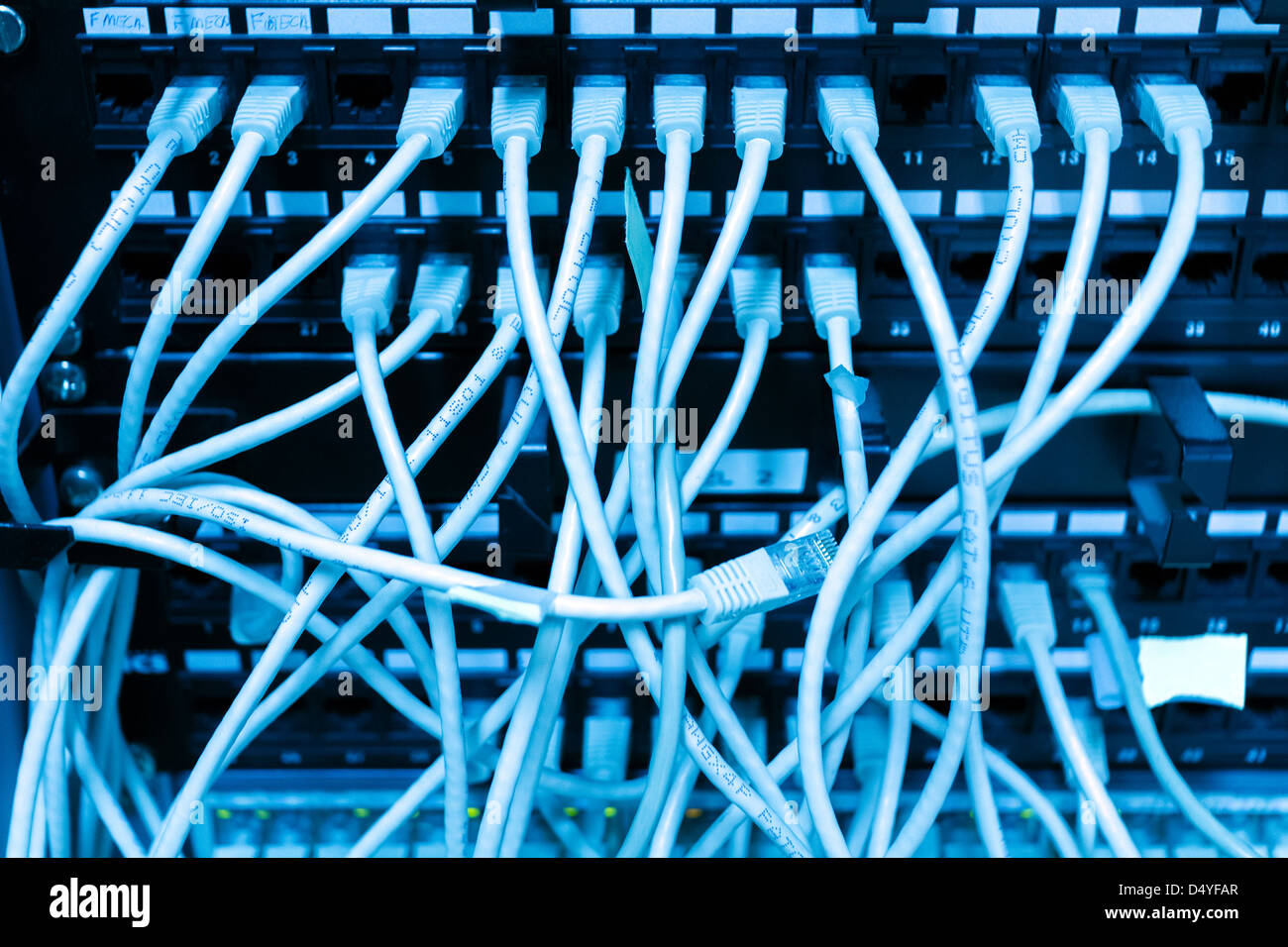 Network switch and cables Stock Photo Alamy