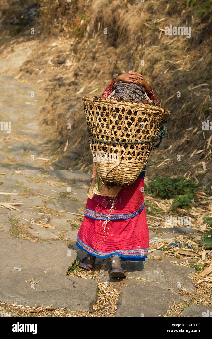 Nepal, Annapurna. A local woman follows a trail carrying a basket called a doko. Stock Photo