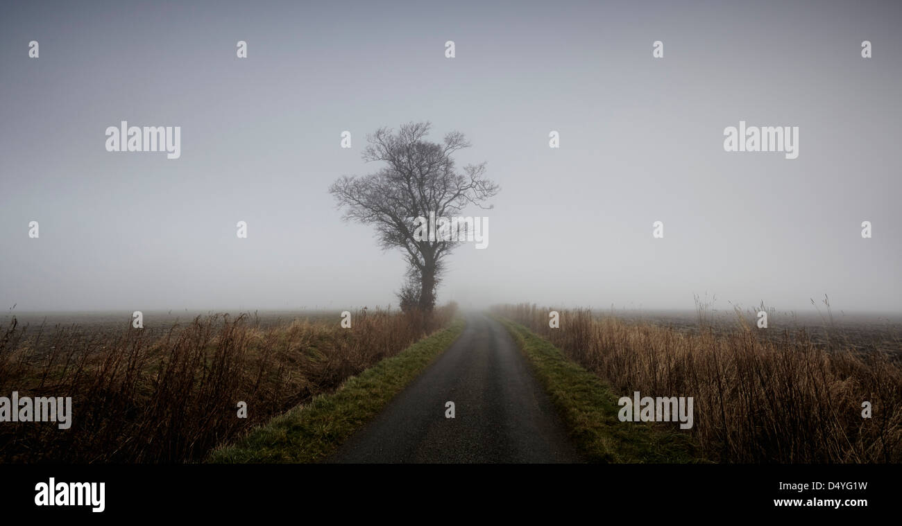 Narrow country lane hi-res stock photography and images - Alamy