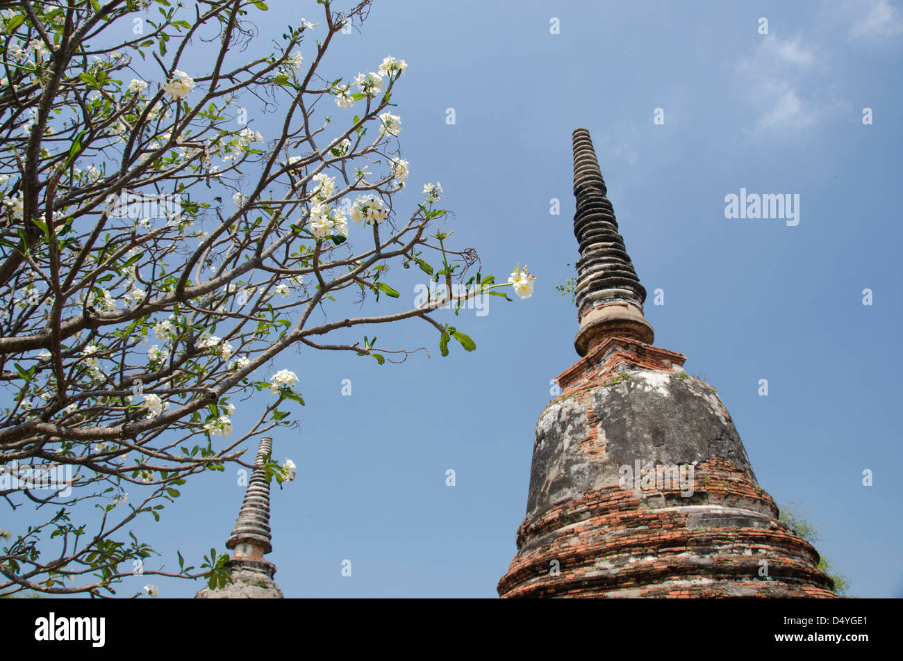 Thailand, Ayutthaya. Wat Phra Si Sanphet. Top of traditional bell-shaped Chedi temple. UNESCO Stock Photo