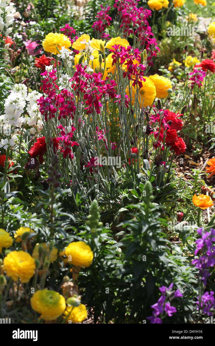 flower garden Stock Photo
