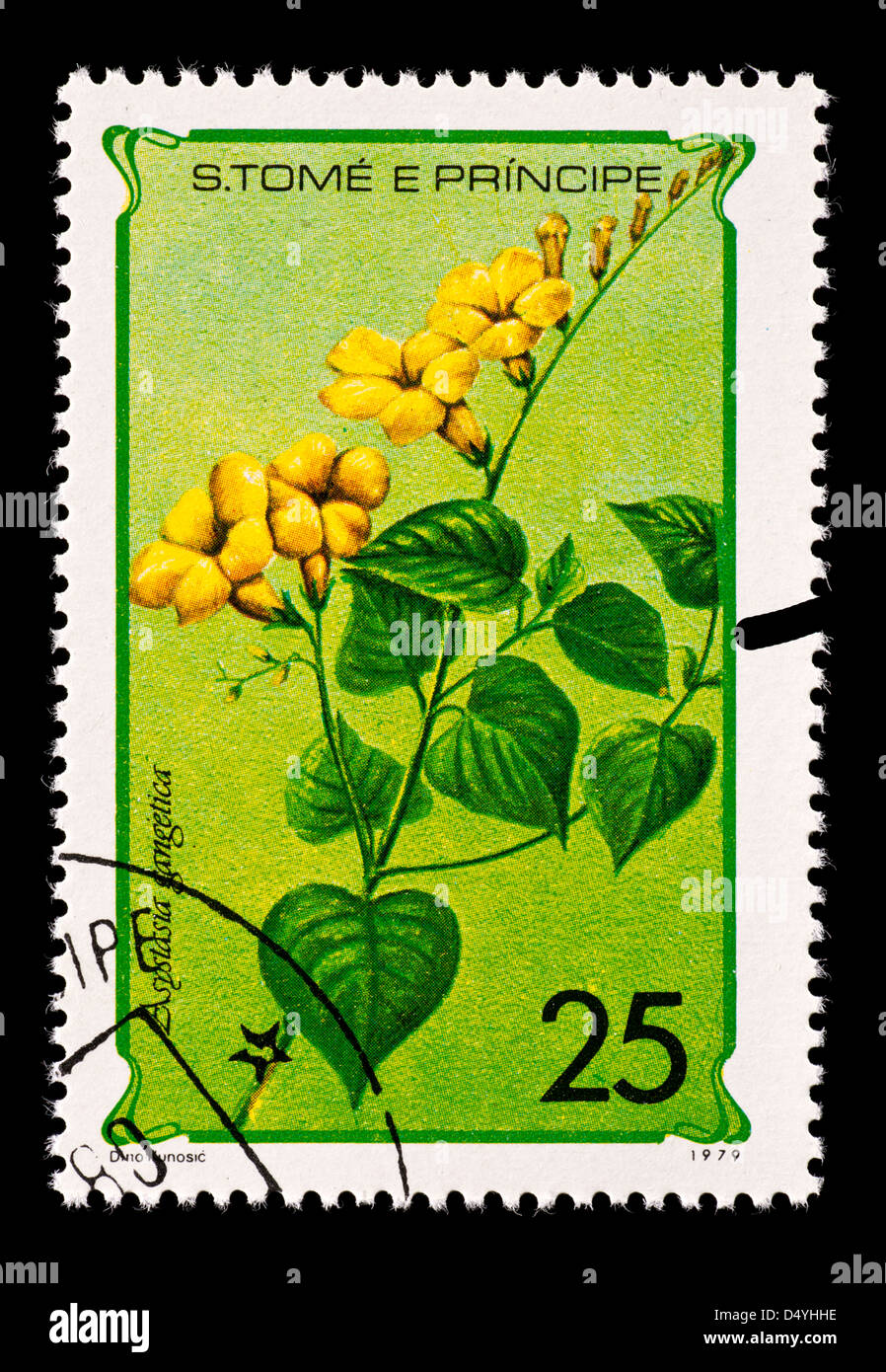 Postage stamp from Saint Thomas and Prince Islands depicting Chinese Violet wildflowers (Asystasia gangetica) Stock Photo