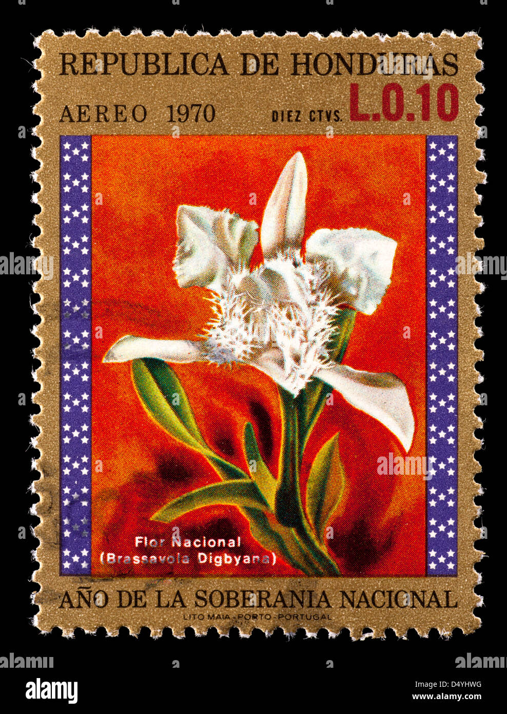 Postage stamp from Honduras depicting the national flower, an orchid (Brassavola digbiana). Stock Photo