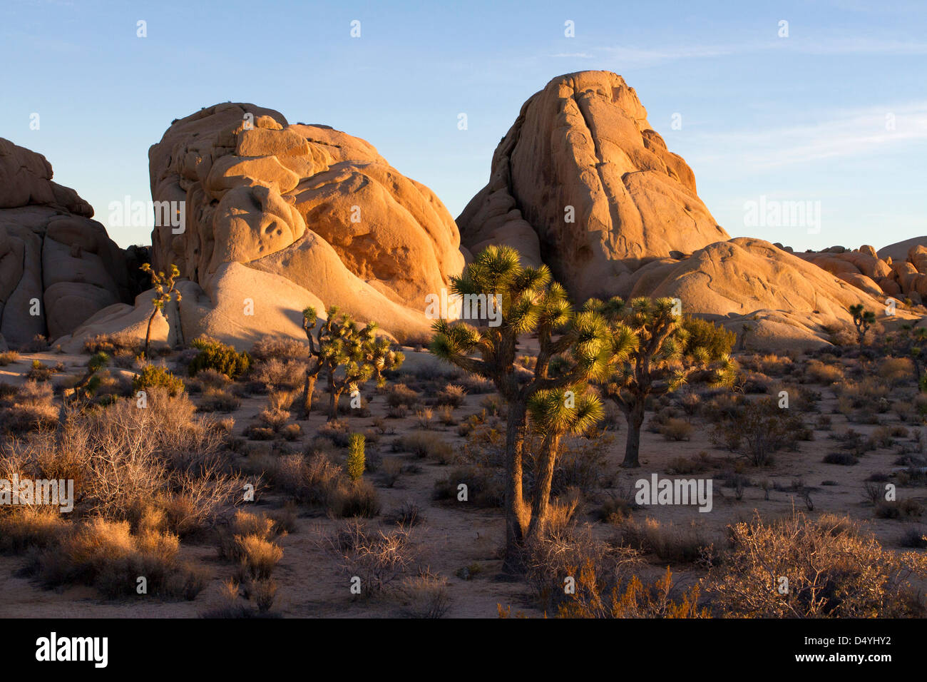 Large granite rock formations near Jumbo Rocks campground in the Joshua
