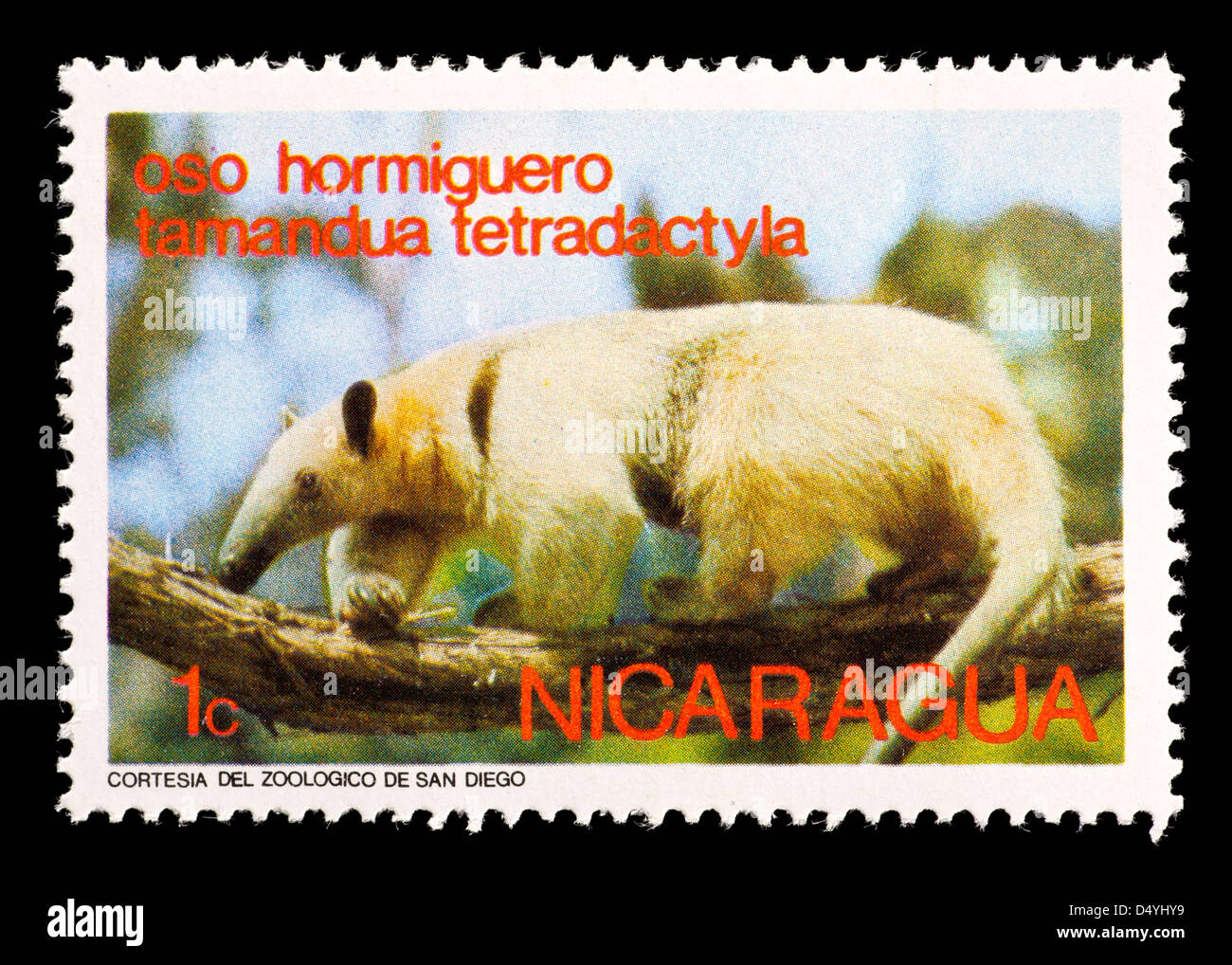Postage stamp from Nicaragua depicting a  southern tamandua or collared anteater (Tamandua tetradactyla) Stock Photo