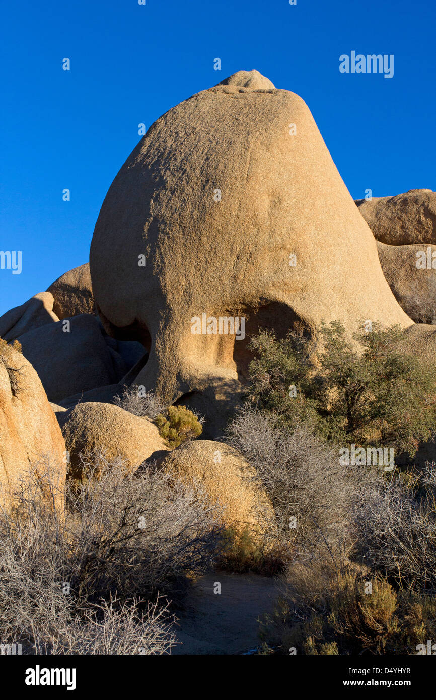 Skull Rock, an unusual and unique granite rock formation in the Joshua