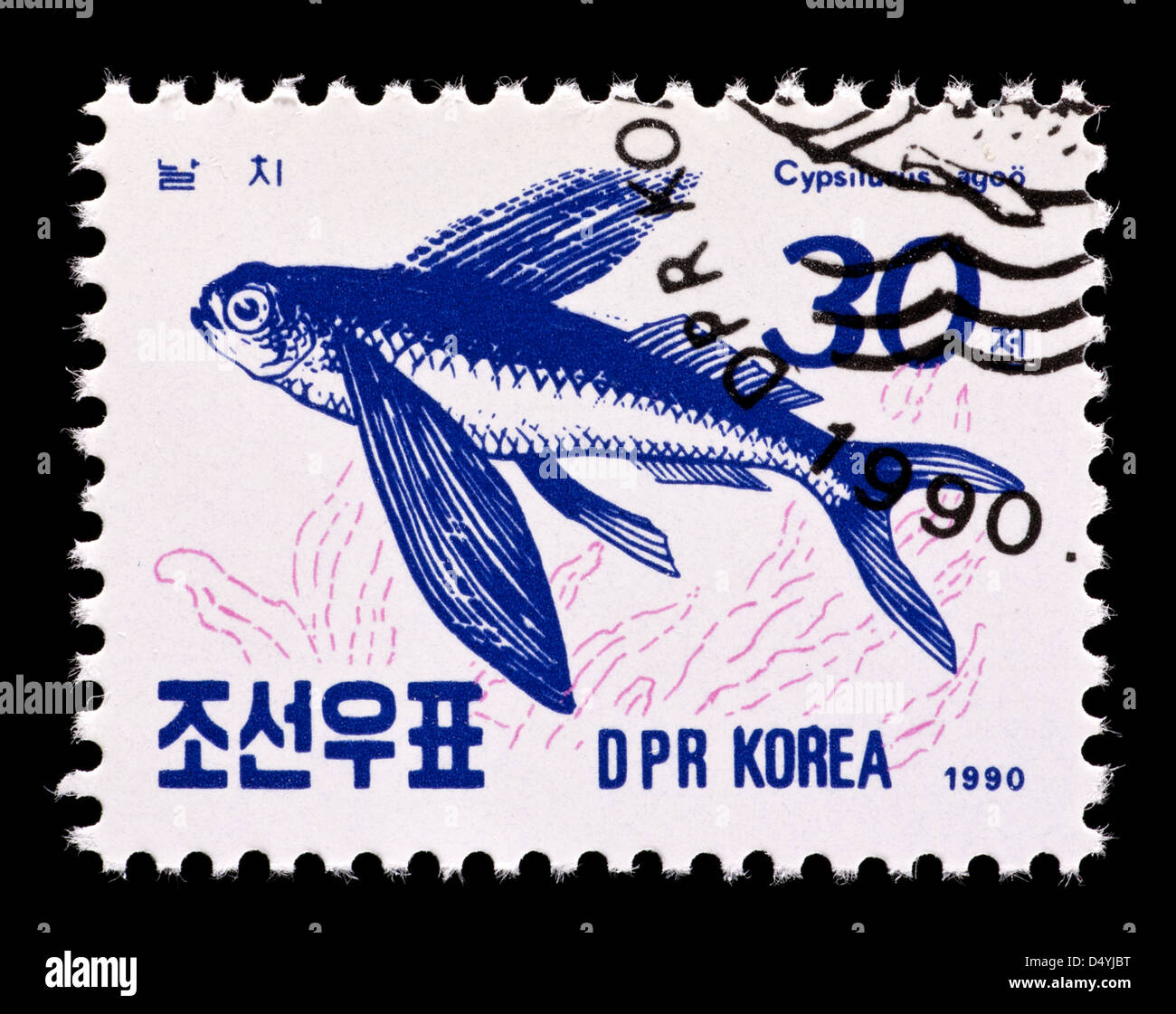 Postage stamp from North Korea depicting a flying fish (Cheilopogon agoo) Stock Photo