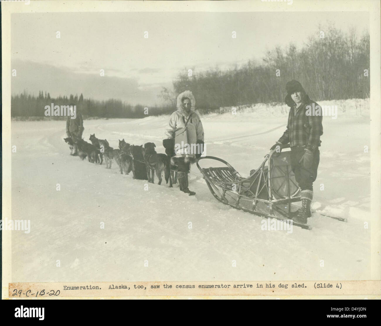 Enumeration, Alaska Too Saw the Census Enumerator Arrive in His Dog Sled, 1940 - 1941 Stock Photo