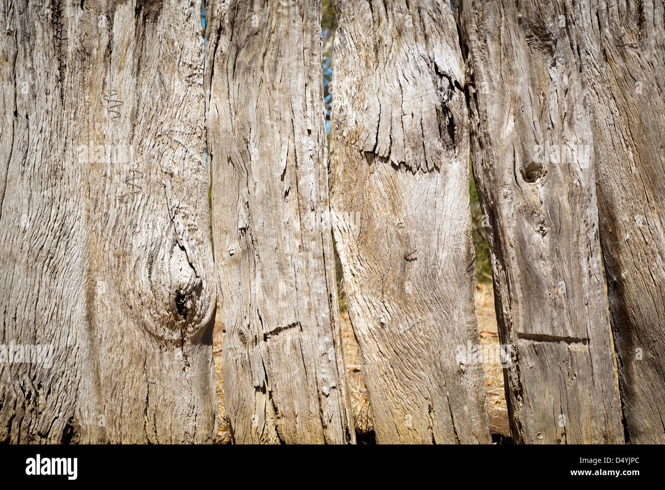 Old wooden fence with obvious tree details Stock Photo - Alamy