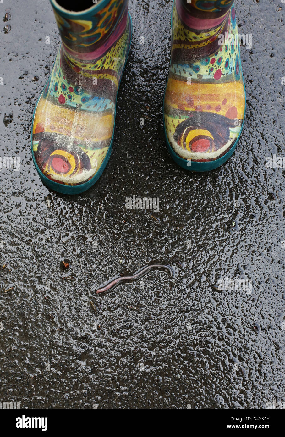 A child in rain boots standing next to a worm. Stock Photo