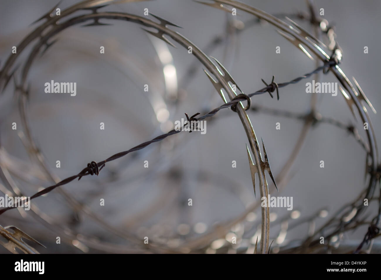 Barb wire hi-res stock photography and images - Alamy